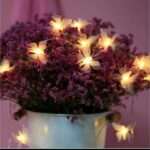 10 Led Butterfly Fairy Lights
