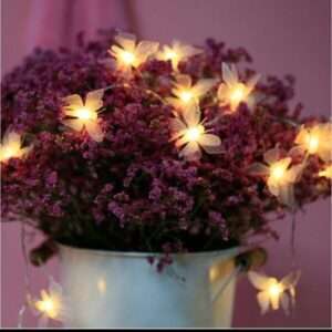 10 Led Butterfly Fairy Lights - 3